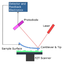 Principle of AFM measurement