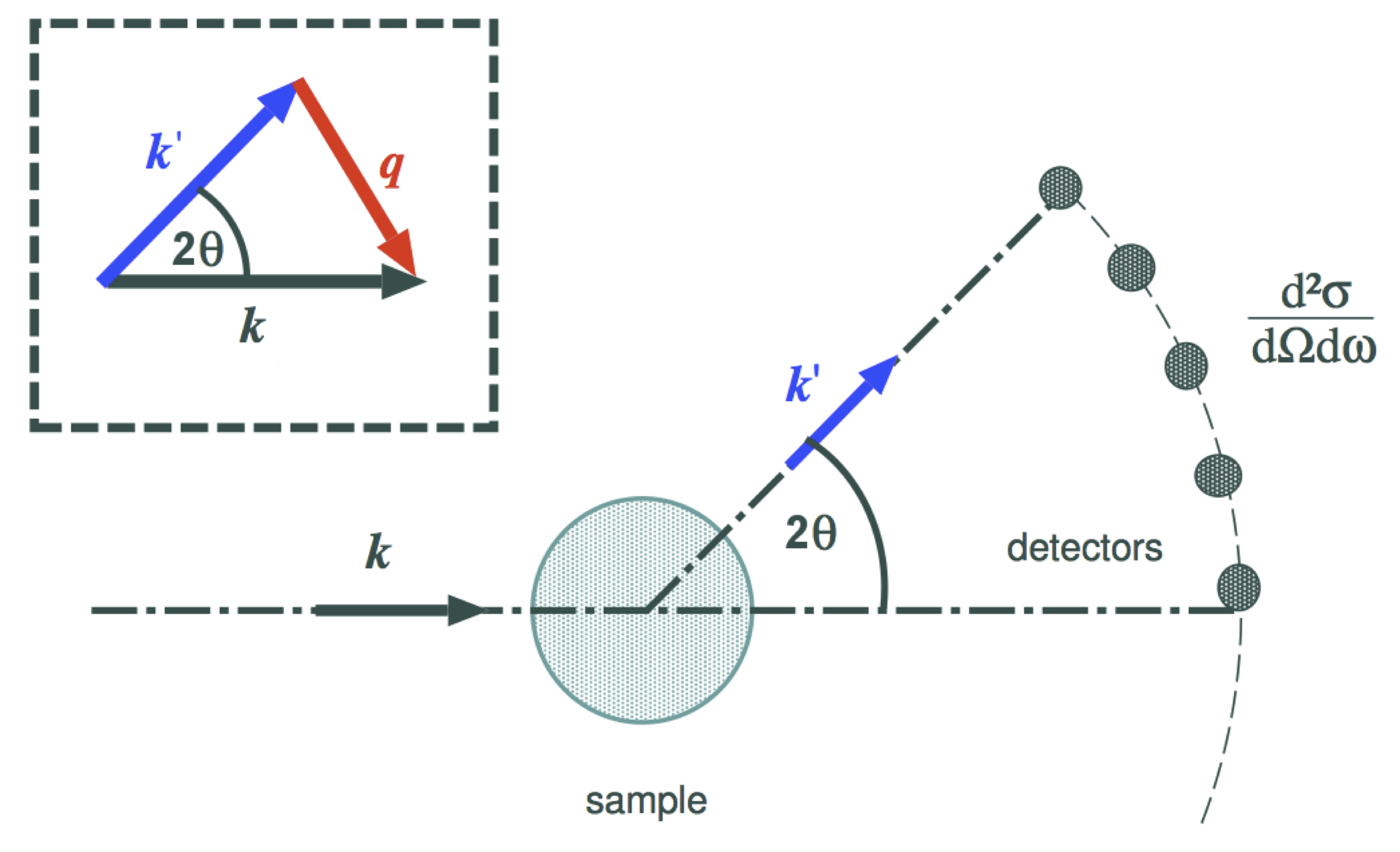 q vector